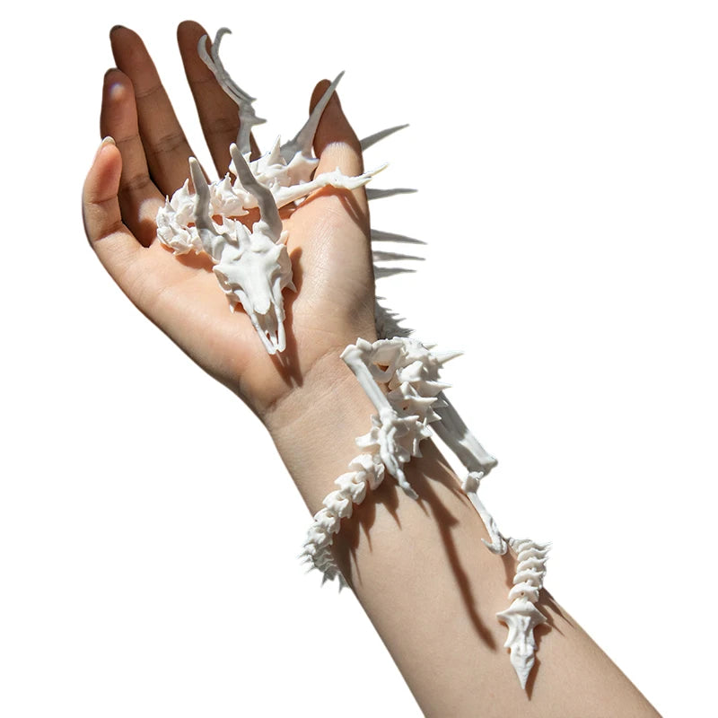 3D Printing Dragon Skeleton Model Creative Joints Movable Desktop Craft Ornament Toys Home Decorations Gifts