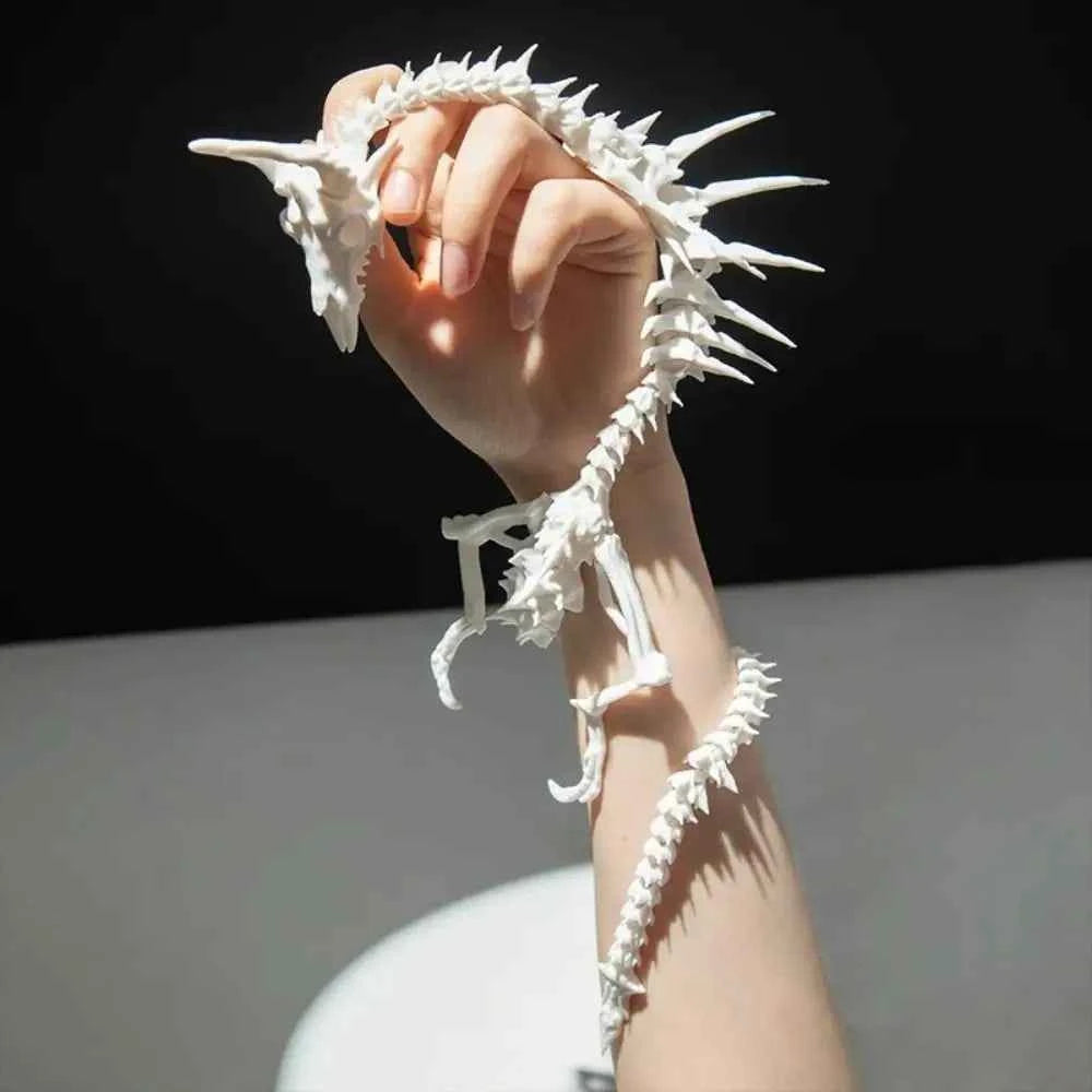 3D Printed Dragon Skeleton Model - Pedlar's Attic