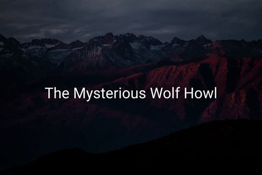 The Mysterious Wolf Howl - Pedlar's Attic