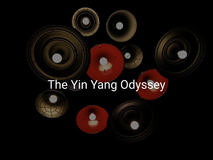 The Yin Yang Odyssey - Pedlar's Attic