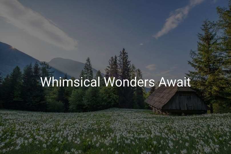 Whimsical Wonders Await - Pedlar's Attic