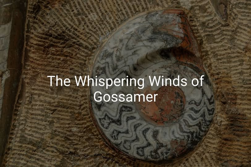 The Whispering Winds of Gossamer - Pedlar's Attic