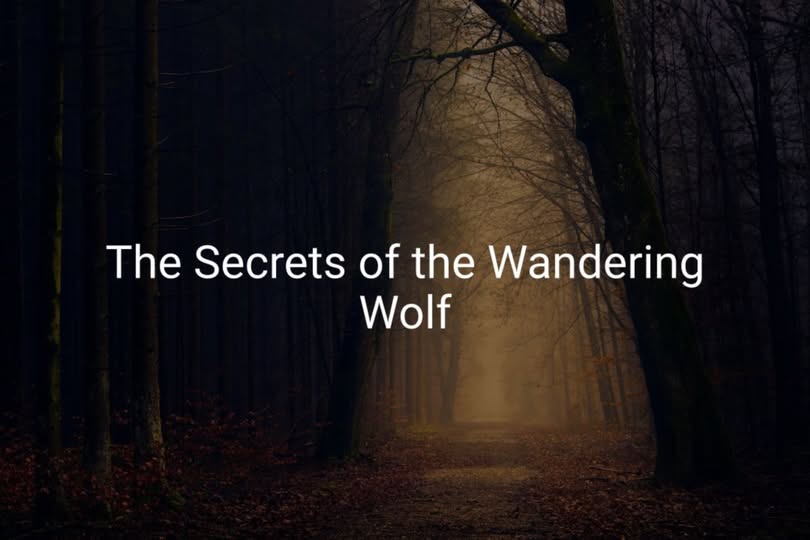 The Secrets of the Wandering Wolf - Pedlar's Attic
