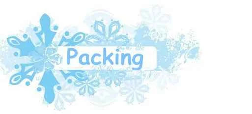 Norse Viking Odin's Runes Necklace Vegvisir Symbol