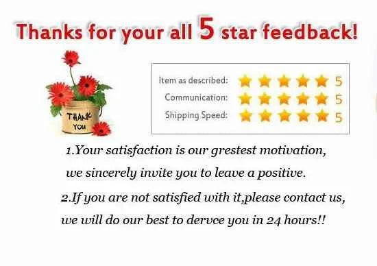 Norse Viking Odin's Runes Necklace Vegvisir Symbol