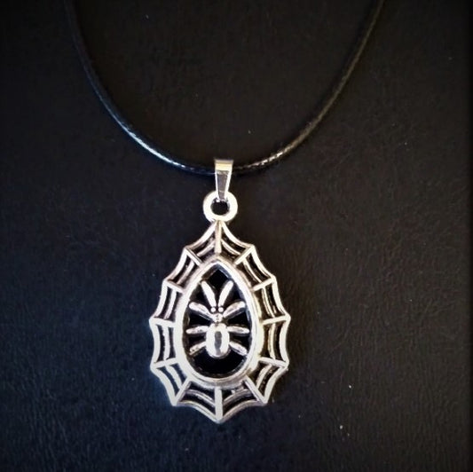 Corded Silver Spider in Web