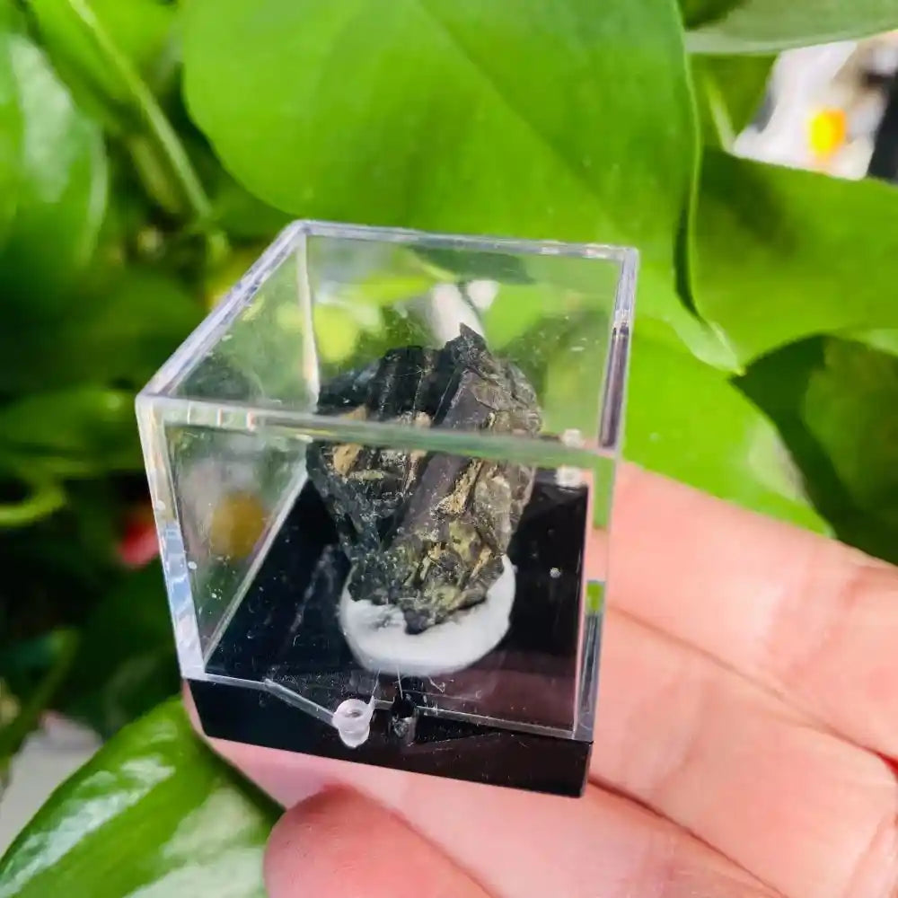 Natural Crystal Mineral Display Box with Sturdy Base Quartz - Pedlar's Attic