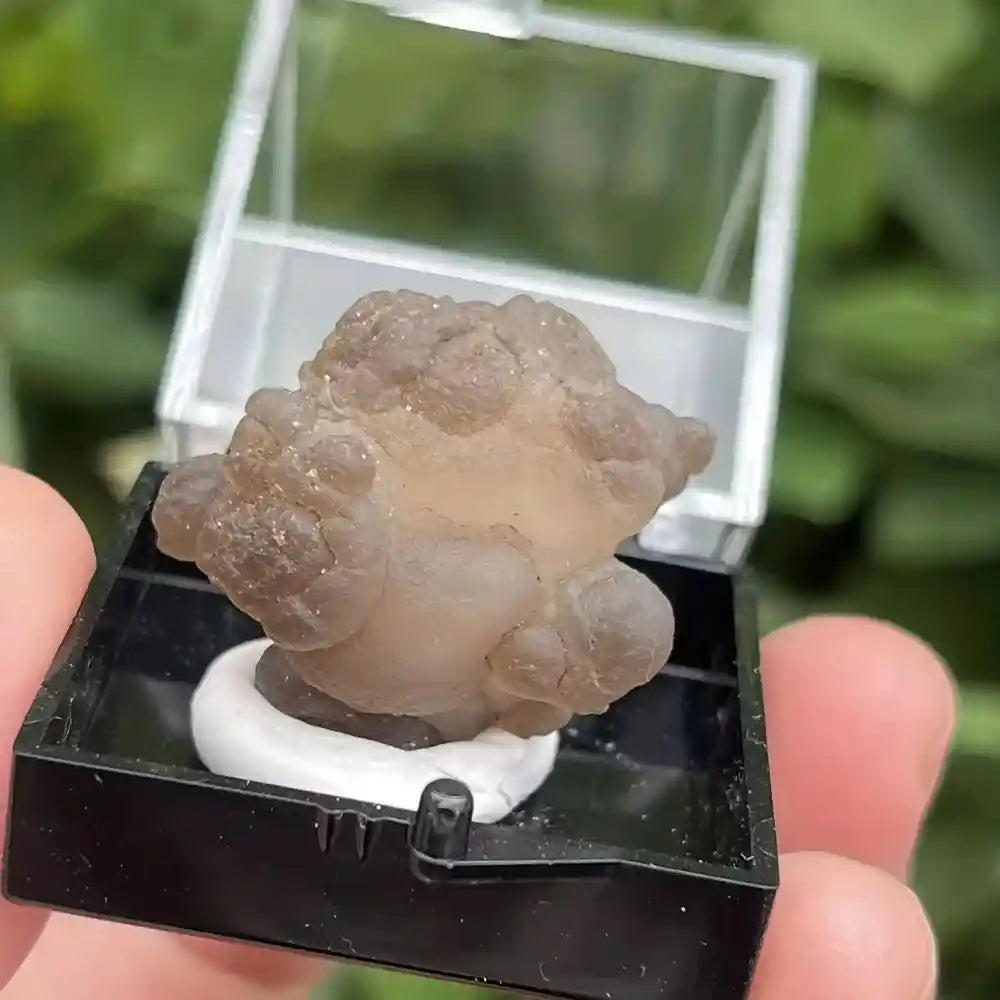 Natural Crystal Mineral Display Box with Sturdy Base Quartz - Pedlar's Attic