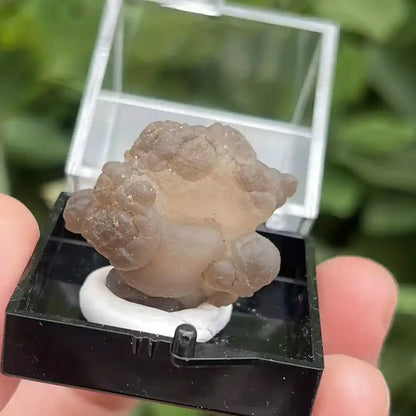 Natural Crystal Mineral Display Box with Sturdy Base Quartz - Pedlar's Attic