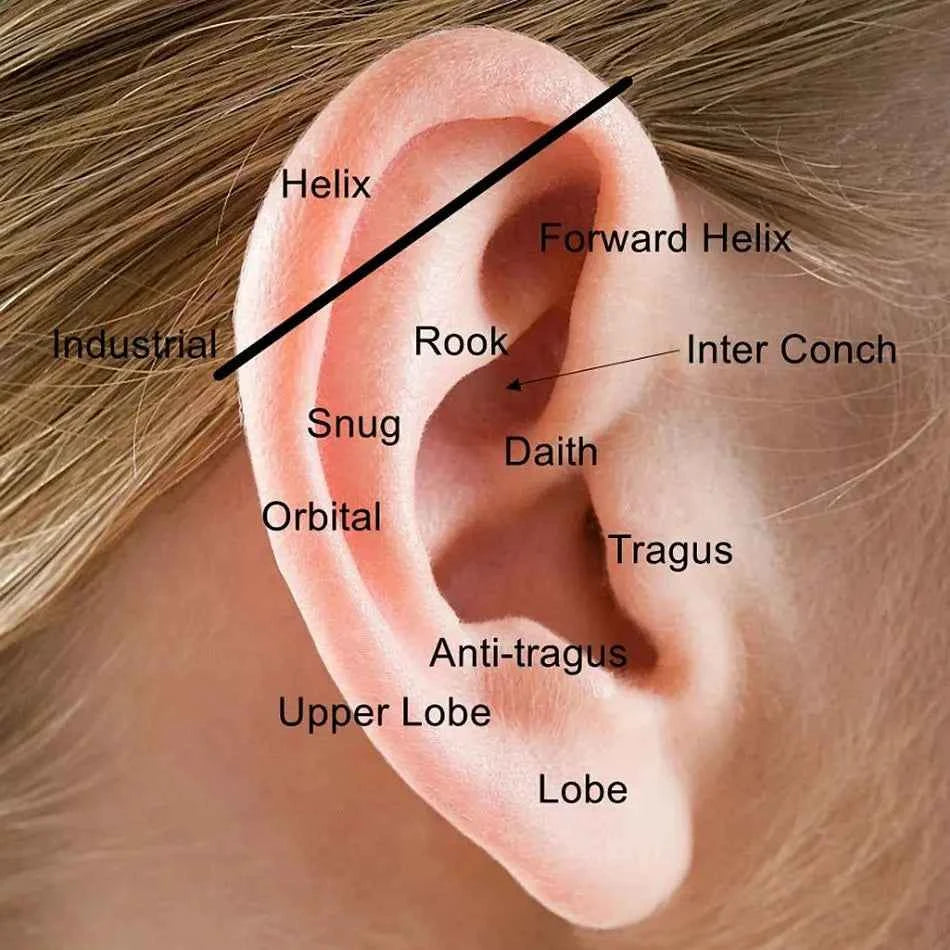 1pc Snake 14G Titanium Industrial Straight Barbells