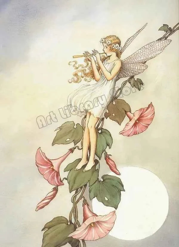 Fantasy Cute Fairy Illustration by Ida Rentou Surrealism Artwork Poster