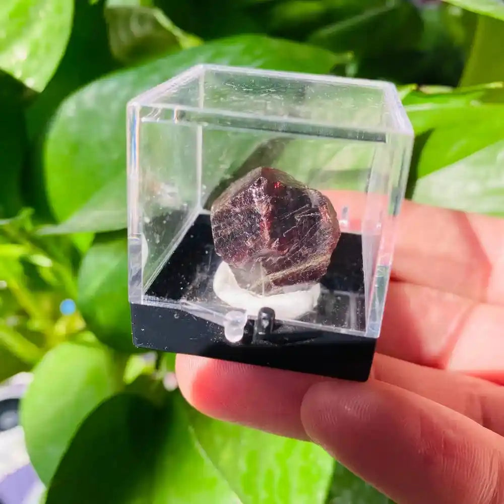 Natural Crystal Mineral Display Box with Sturdy Base Quartz - Pedlar's Attic