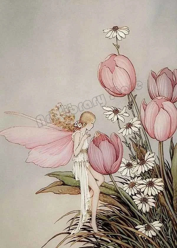 Fantasy Cute Fairy Illustration by Ida Rentou Surrealism Artwork Poster