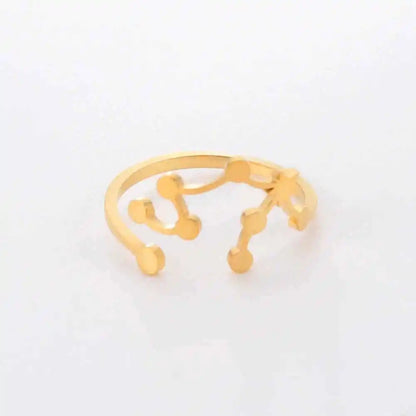 COOLTIME Zodiac Constellation Ring - Adjustable Stainless Steel Jewelry for Your Sign - Ideal Gift for Astrology Lovers - Pedlar's Attic