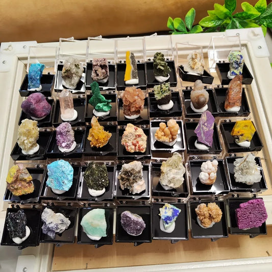 Natural Crystal Mineral Display Box with Sturdy Base Quartz