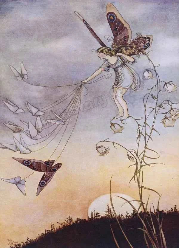 Fantasy Cute Fairy Illustration by Ida Rentou Surrealism Artwork Poster