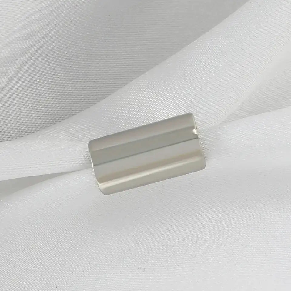 The Architecture of Defiance — Gothic Long Tube Clip Earrings