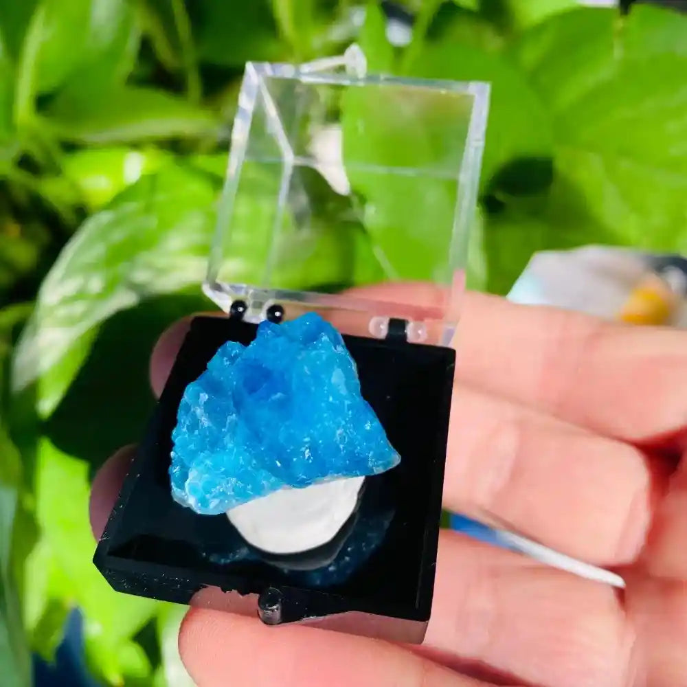 Natural Crystal Mineral Display Box with Sturdy Base Quartz - Pedlar's Attic