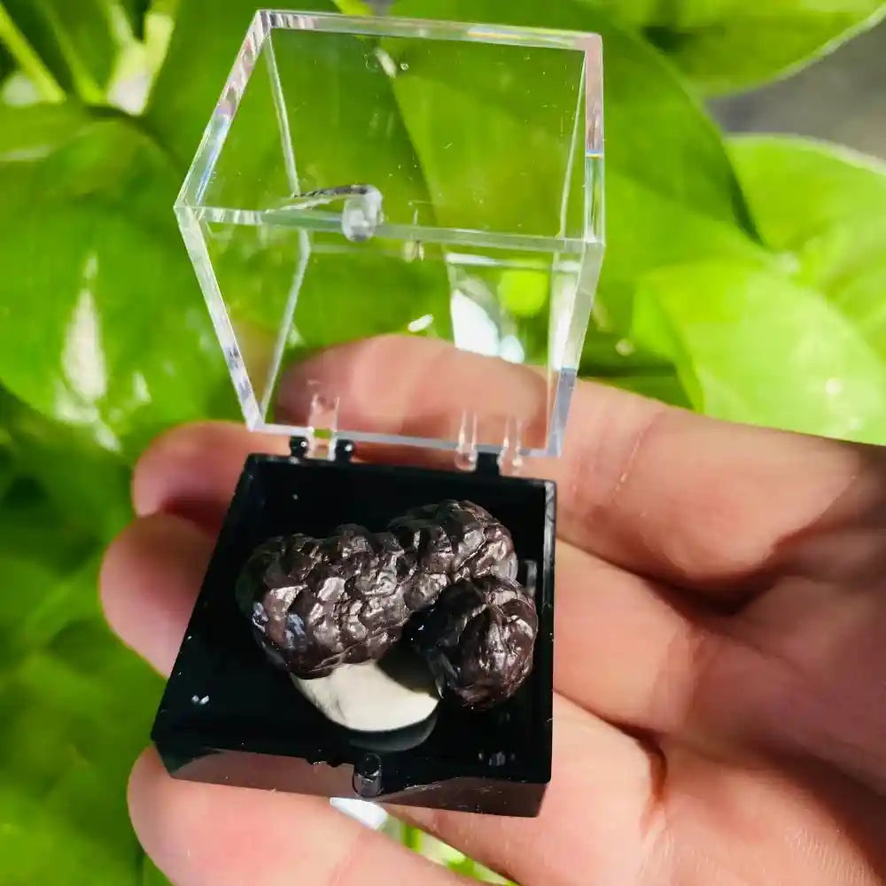 Natural Crystal Mineral Display Box with Sturdy Base Quartz - Pedlar's Attic