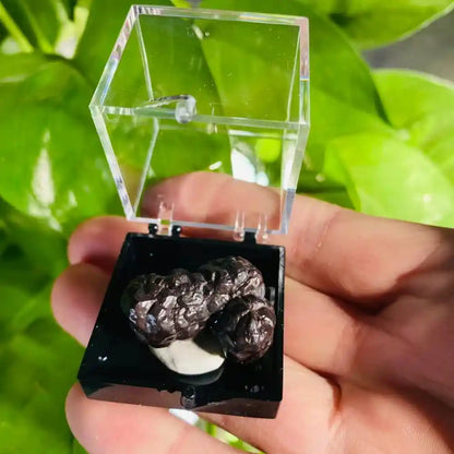 Natural Crystal Mineral Display Box with Sturdy Base Quartz - Pedlar's Attic