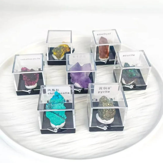 Natural Crystal Mineral Display Box with Sturdy Base Quartz